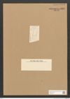 Diatomeae indet. Zeichnungen Sammlung Grunow Nr. 3287 (NHMW-BOT-W0370772)